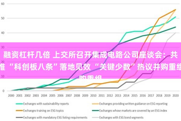 融资杠杆几倍 上交所召开集成电路公司座谈会：共推 “科创板八条”落地见效 “关键少数”热议并购重组