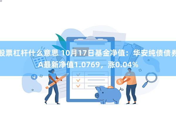 股票杠杆什么意思 10月17日基金净值：华安纯债债券A最新净值1.0769，涨0.04%