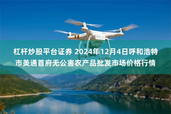 杠杆炒股平台证券 2024年12月4日呼和浩特市美通首府无公害农产品批发市场价格行情