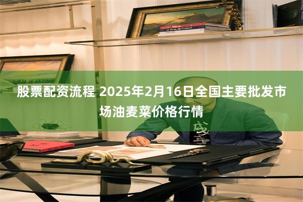 股票配资流程 2025年2月16日全国主要批发市场油麦菜价格行情