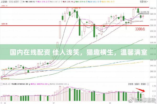 国内在线配资 佳人浅笑，猫趣横生，温馨满室