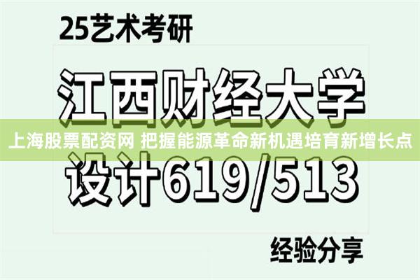 上海股票配资网 把握能源革命新机遇培育新增长点