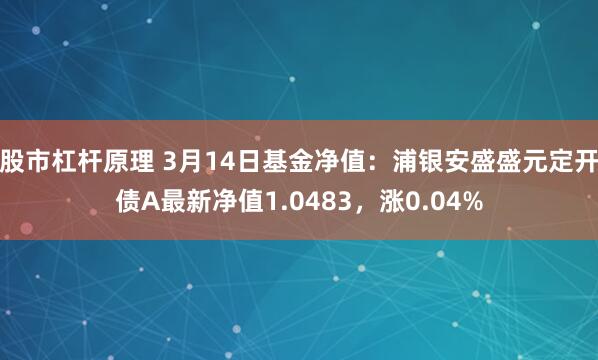 股市杠杆原理 3月14日基金净值：浦银安盛盛元定开债A最新净值1.0483，涨0.04%